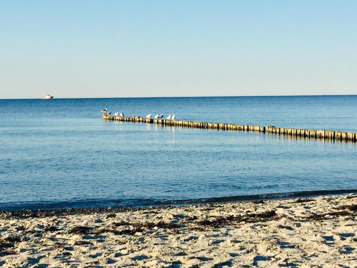 Aparthotel Waterkant Suites - Fewos Am Meer Mit Spa Börgerende-Rethwisch Dış mekan fotoğraf